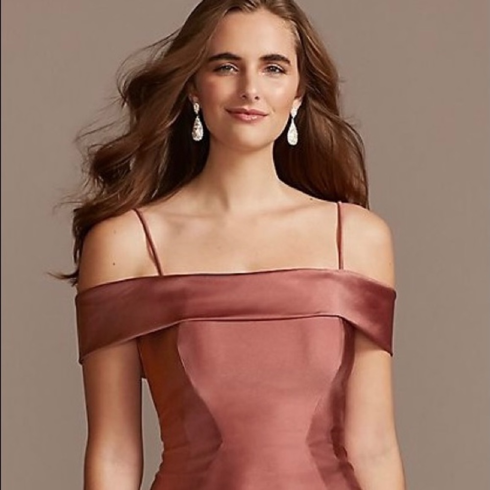 David’s Bridal Bridesmaid Dress